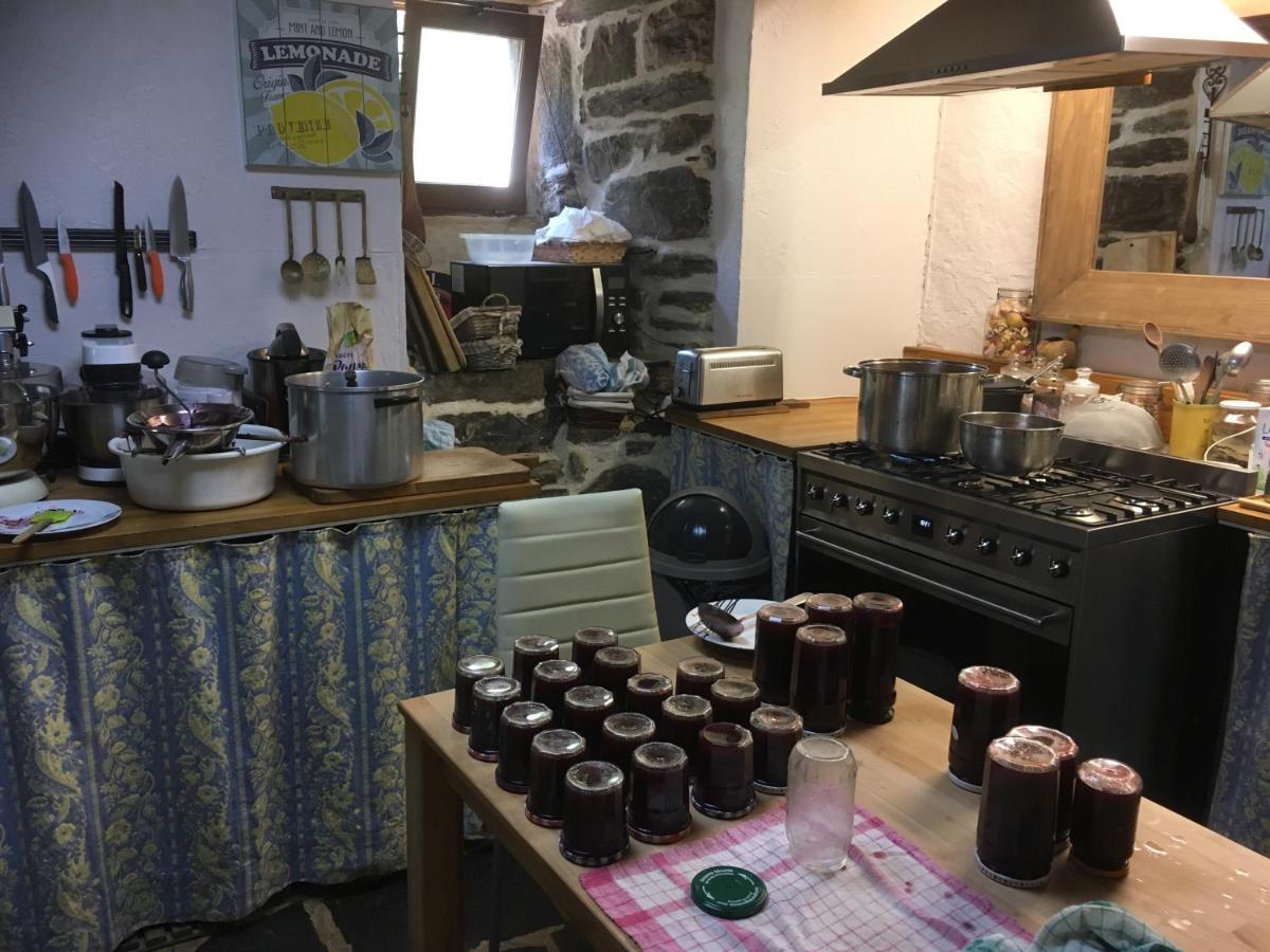 Chambres D'Hotes Le Lepadou-Bas Saint-Chély-dʼAubrac Eksteriør billede
