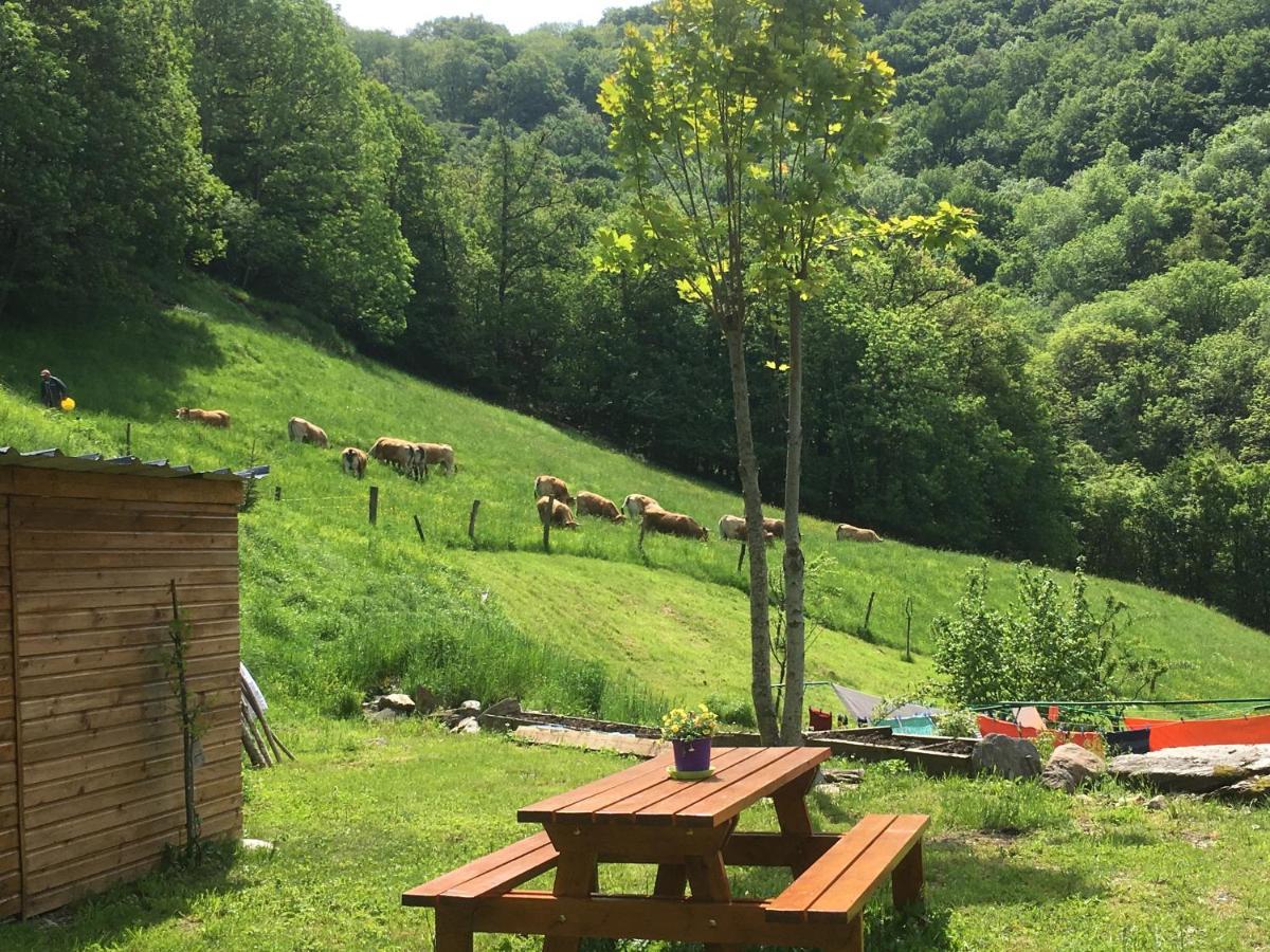 Chambres D'Hotes Le Lepadou-Bas Saint-Chély-dʼAubrac Eksteriør billede