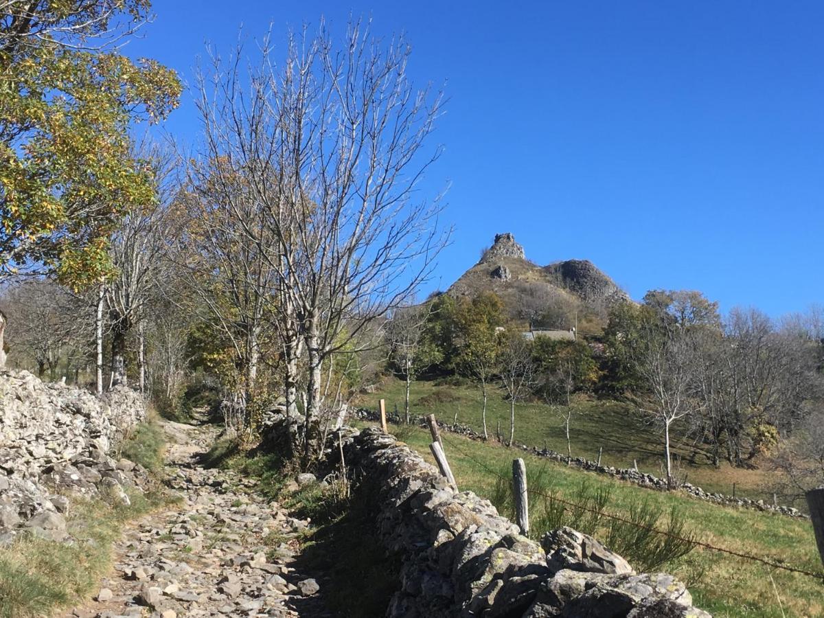 Chambres D'Hotes Le Lepadou-Bas Saint-Chély-dʼAubrac Eksteriør billede