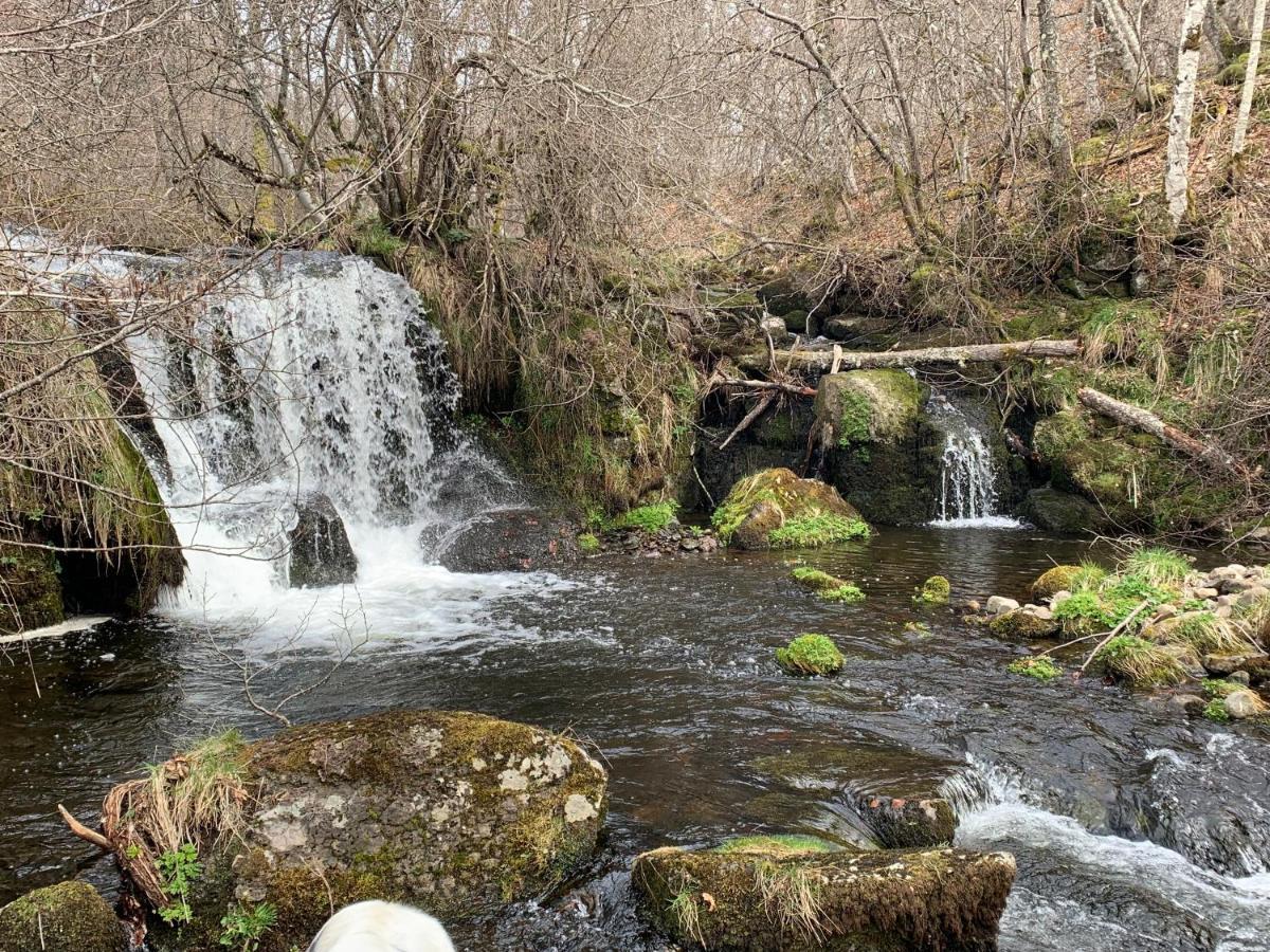 Chambres D'Hotes Le Lepadou-Bas Saint-Chély-dʼAubrac Eksteriør billede